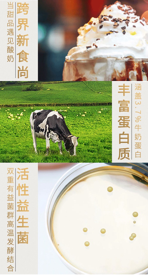 好享閑”甜品時刻，享受酸奶新風尚