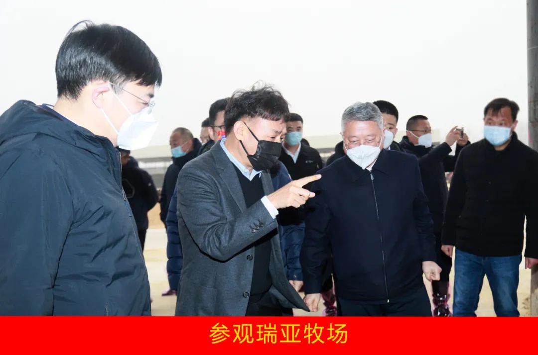 新年開新局 合作促發展丨佳木斯市委常委、副市長閆志剛一行蒞臨花花牛乳業集團及佳田企業考察座談