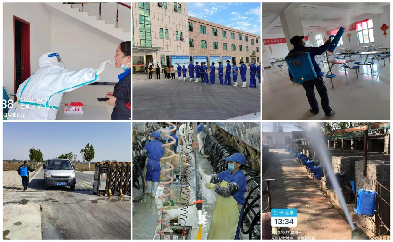 抗疫情、保供應、顯擔當——花花牛在行動！！！