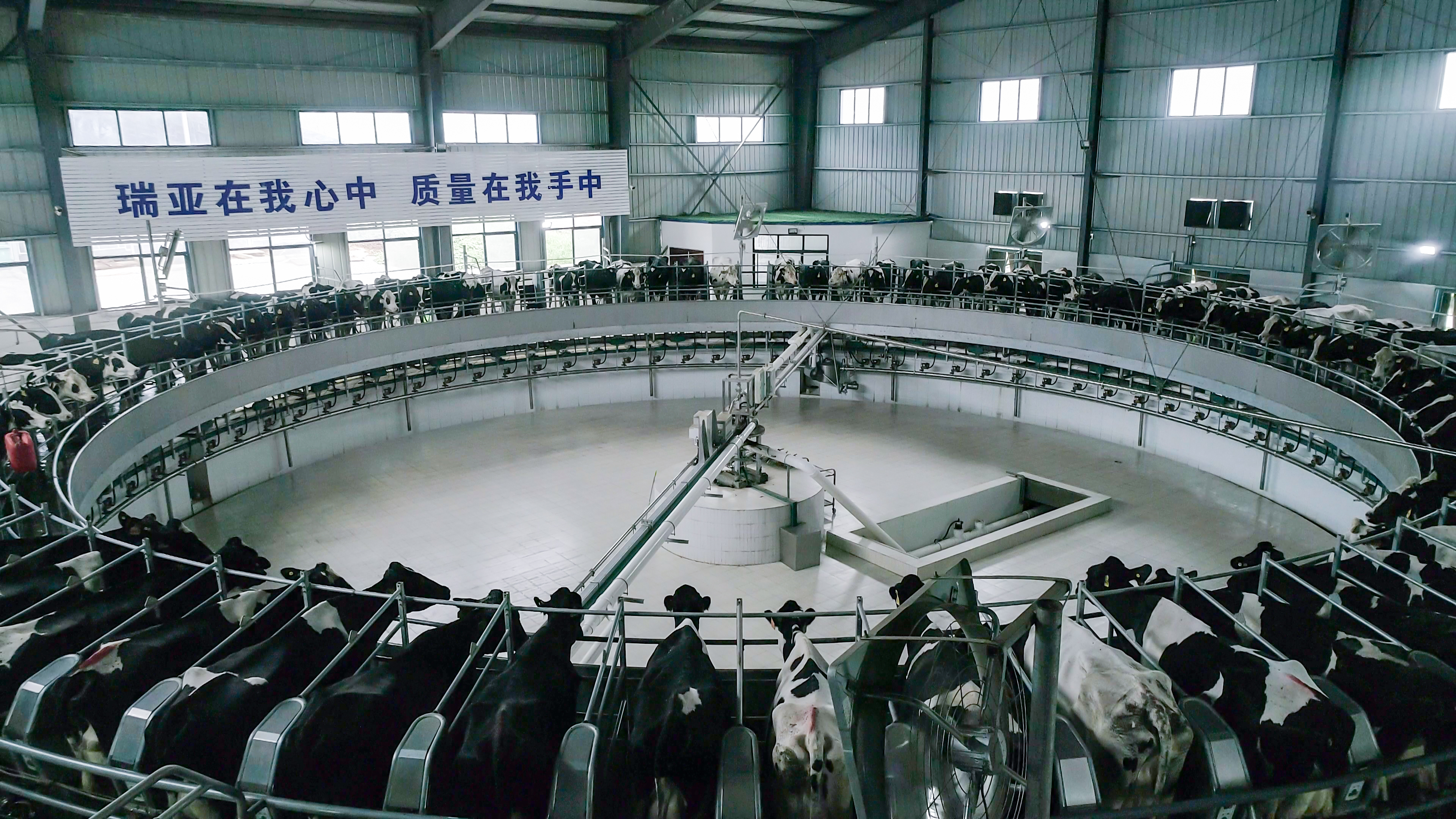 春風吹 戰鼓擂——不負春天好時光