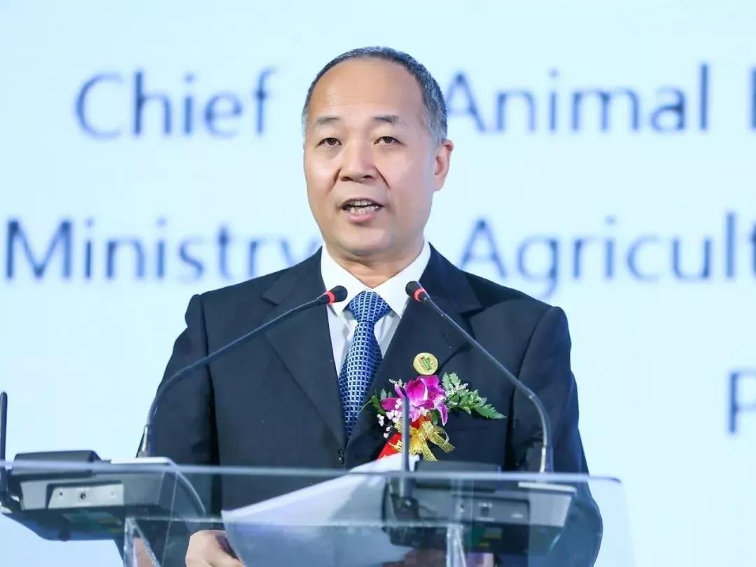 SDDDC走進(jìn)河南，看看花花牛的國(guó)際范兒！