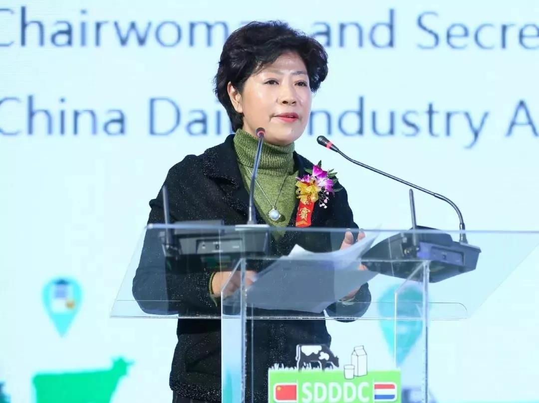 SDDDC走進(jìn)河南，看看花花牛的國(guó)際范兒！