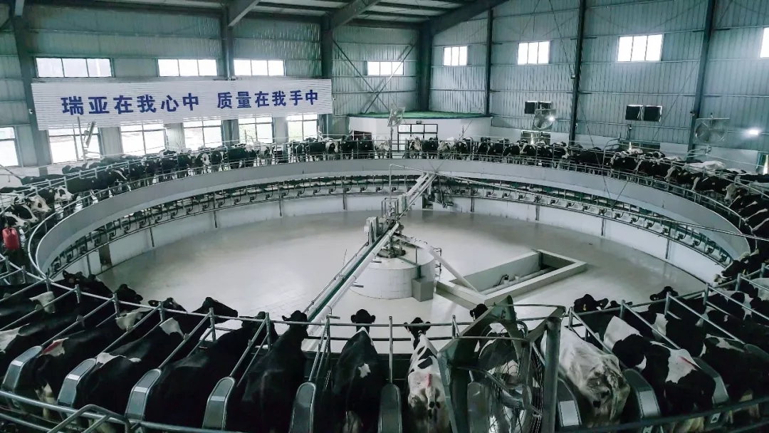 第31屆中原畜牧業(yè)交易博覽會(huì) || 花花牛乳業(yè)集團(tuán)獲“河南省畜牧行業(yè)——最具影響力品牌”獎(jiǎng) 第31屆中原畜牧業(yè)交易博覽會(huì) || 花花牛乳業(yè)集團(tuán)獲“河南省畜牧行業(yè)——最具影響力品牌”獎(jiǎng)