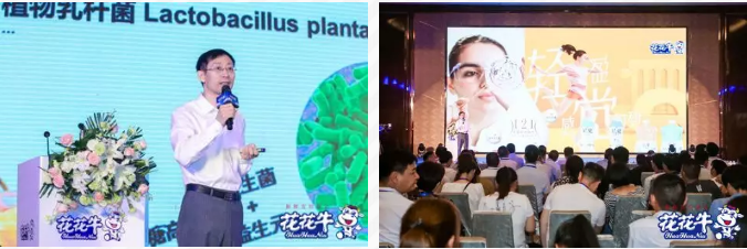 花花牛輕覺上市暨優(yōu)質(zhì)乳工程認證發(fā)布會，盛大啟幕！