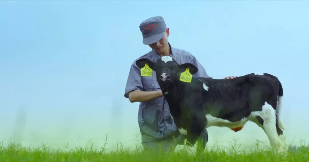 喜報 | 國家市場監(jiān)管總局抽檢,花花牛等112家企業(yè)乳品抽檢全部合格 喜報 | 國家市場監(jiān)管總局抽檢,花花牛等112家企業(yè)乳品抽檢全部合格