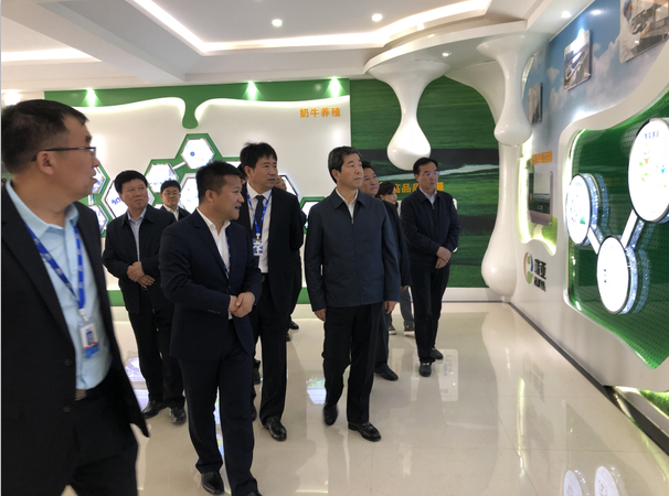 河南省委副書記、省長陳潤兒一行蒞臨 花花牛集團魯山瑞亞牧業有限公司視察調研