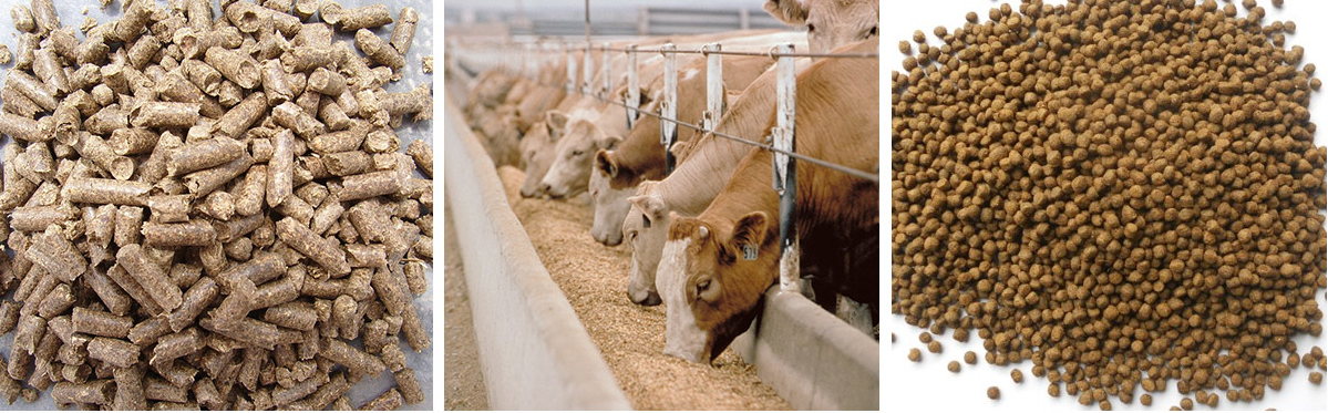 1735267533788337.png image.png