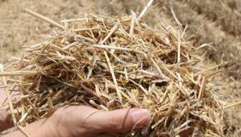 生物質(zhì)應從傳統(tǒng)利用方式變成資源 “變廢為寶”可以更高效