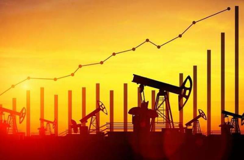 國際石油價格的不確定性引發(fā)埃及預(yù)算危機