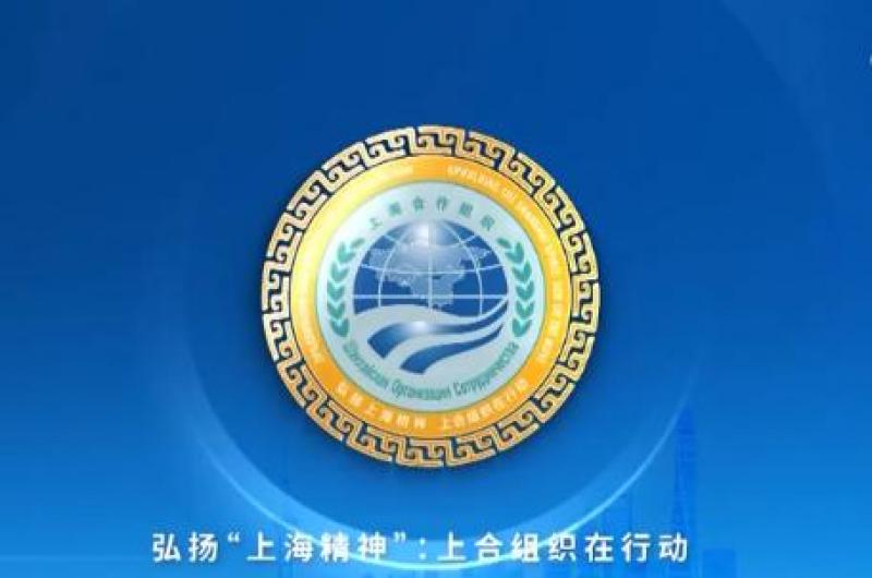 上海合作組織成員國(guó)元首理事會(huì)關(guān)于能源可持續(xù)發(fā)展的聲明