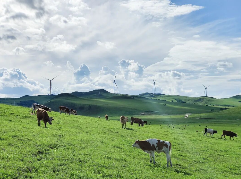 中廣核國內風電、光伏等新能源在運裝機突破7000萬千瓦